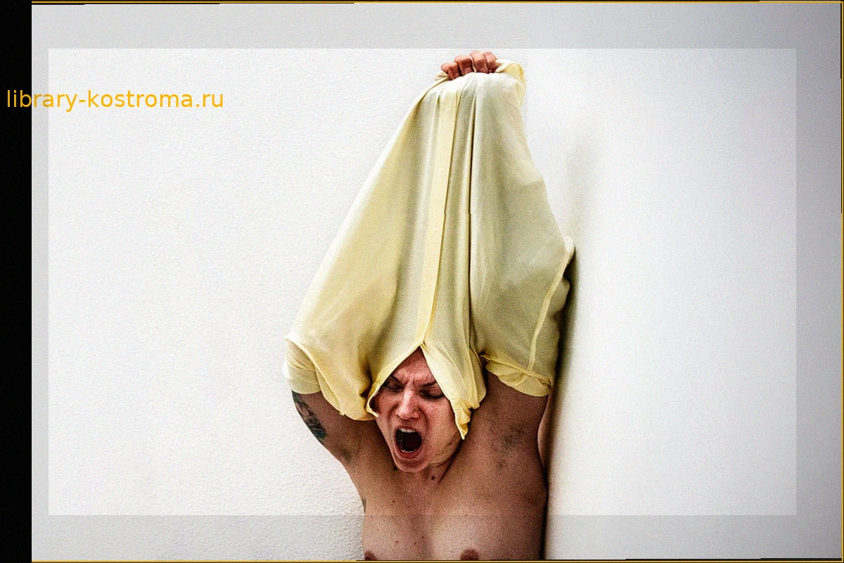 Павильон Нидерландов на Венецианской биеннале: «Крепость» Дриса Верховена как политический протест и критика искусства